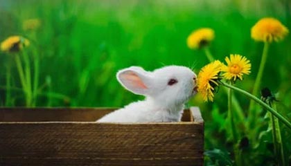 九游app下载中心-马赛客场逆转里尔，豪取三分稳定积分榜排名，法甲马赛对里尔